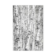 Birch Cluster gift wrap paper