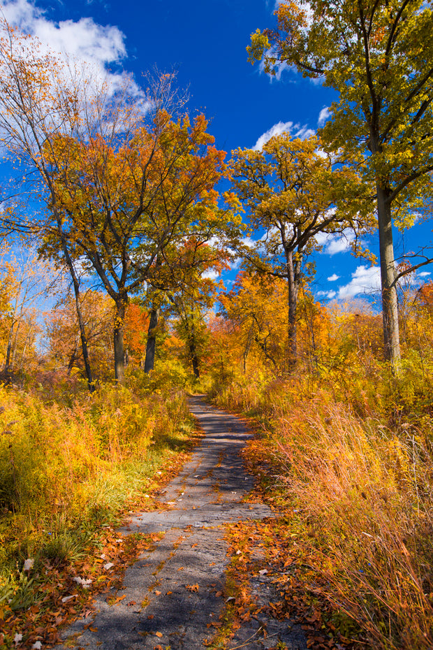 Belle Isle Nashua Canal Trail