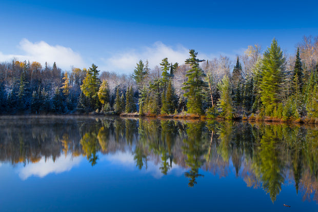 Blue Reflect