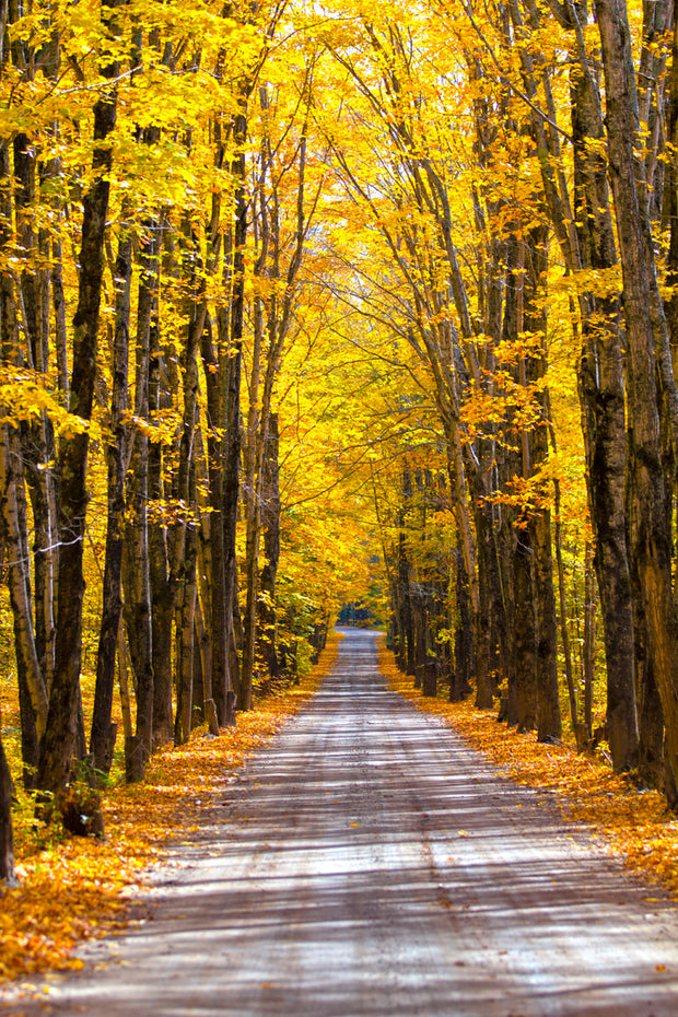 Coles Creek Road