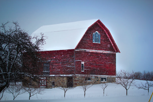 Frozen Window Panes