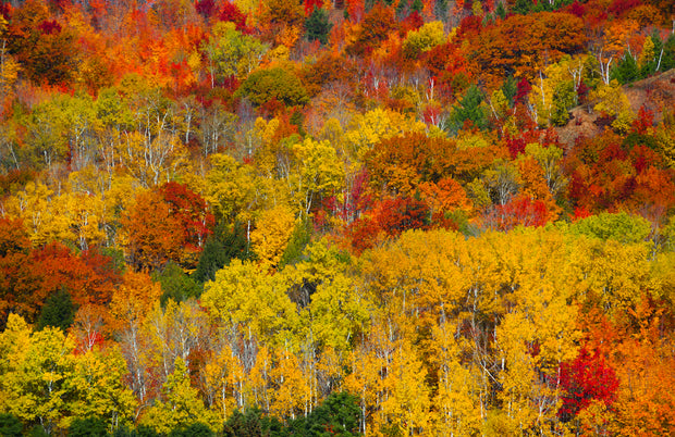 Hancock Ridge