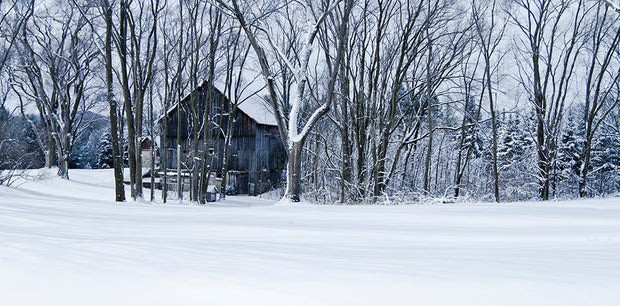 Nestled in the Trees