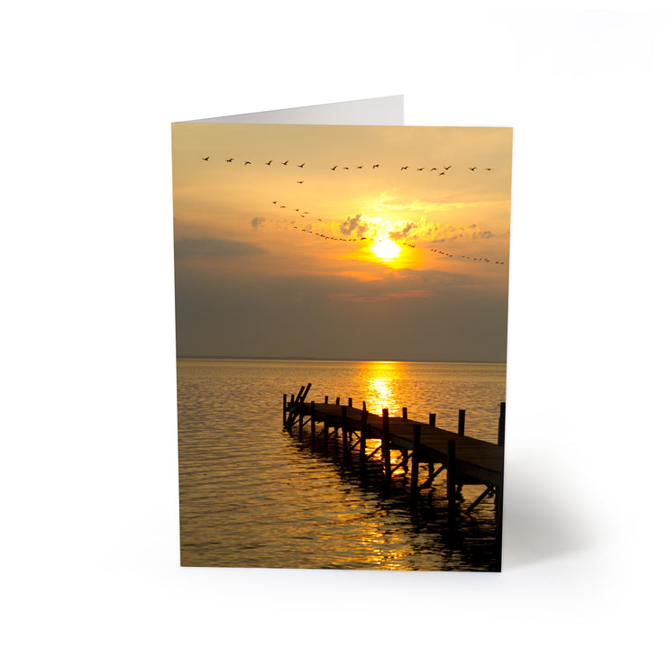 Geese on Sunset Blank Greeting Card