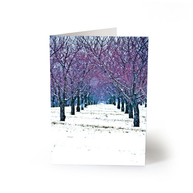 Snowfall Orchard Blank Greeting Card