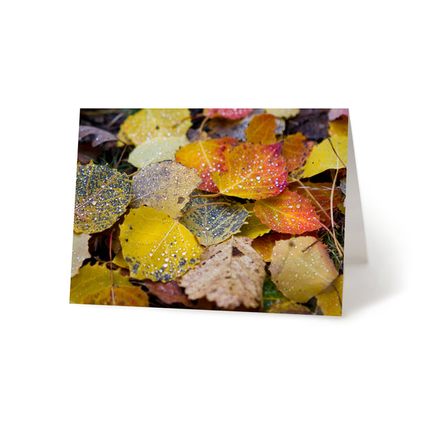 Fall Rain Blank Greeting Card