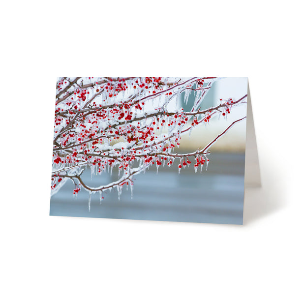 Frozen Holly Blank Greeting Card