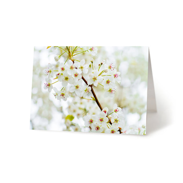 Pentwater Blossoms Blank Greeting Card