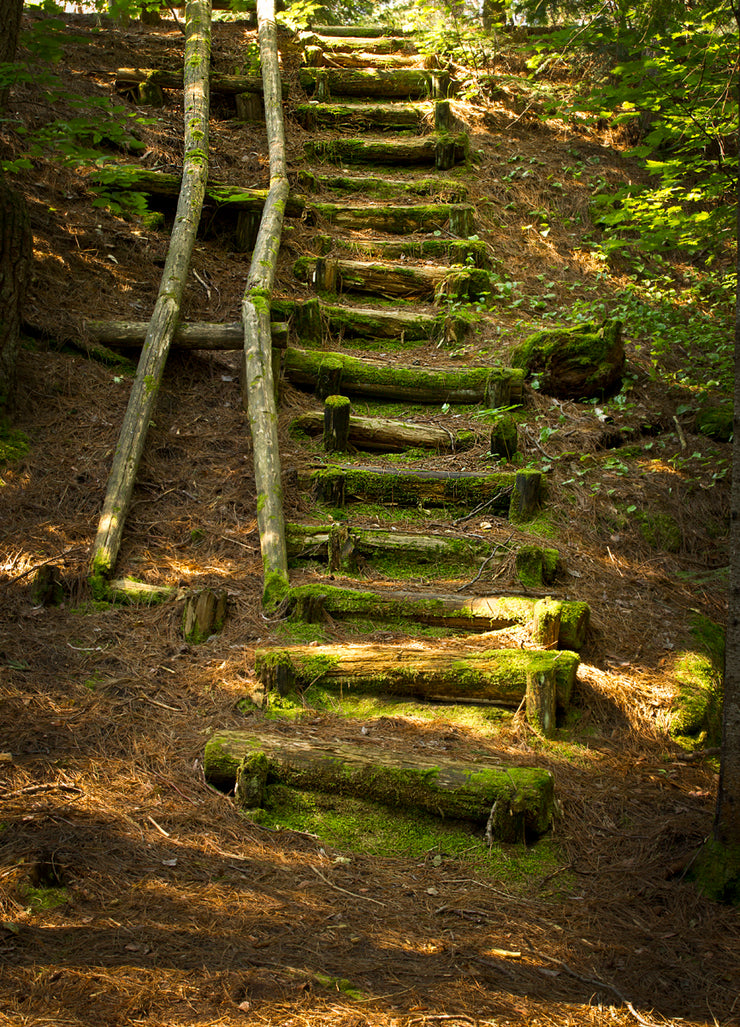Old Fisherman's Stairs